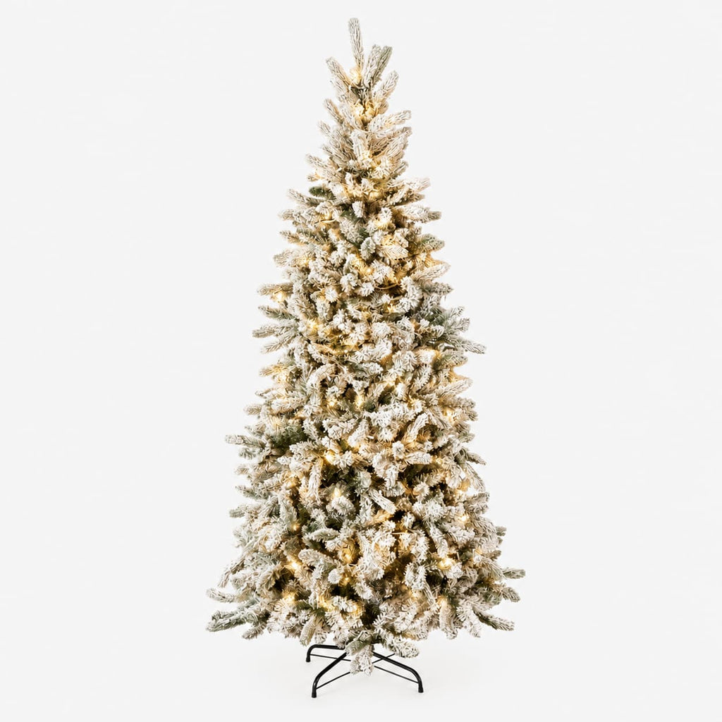 Pine